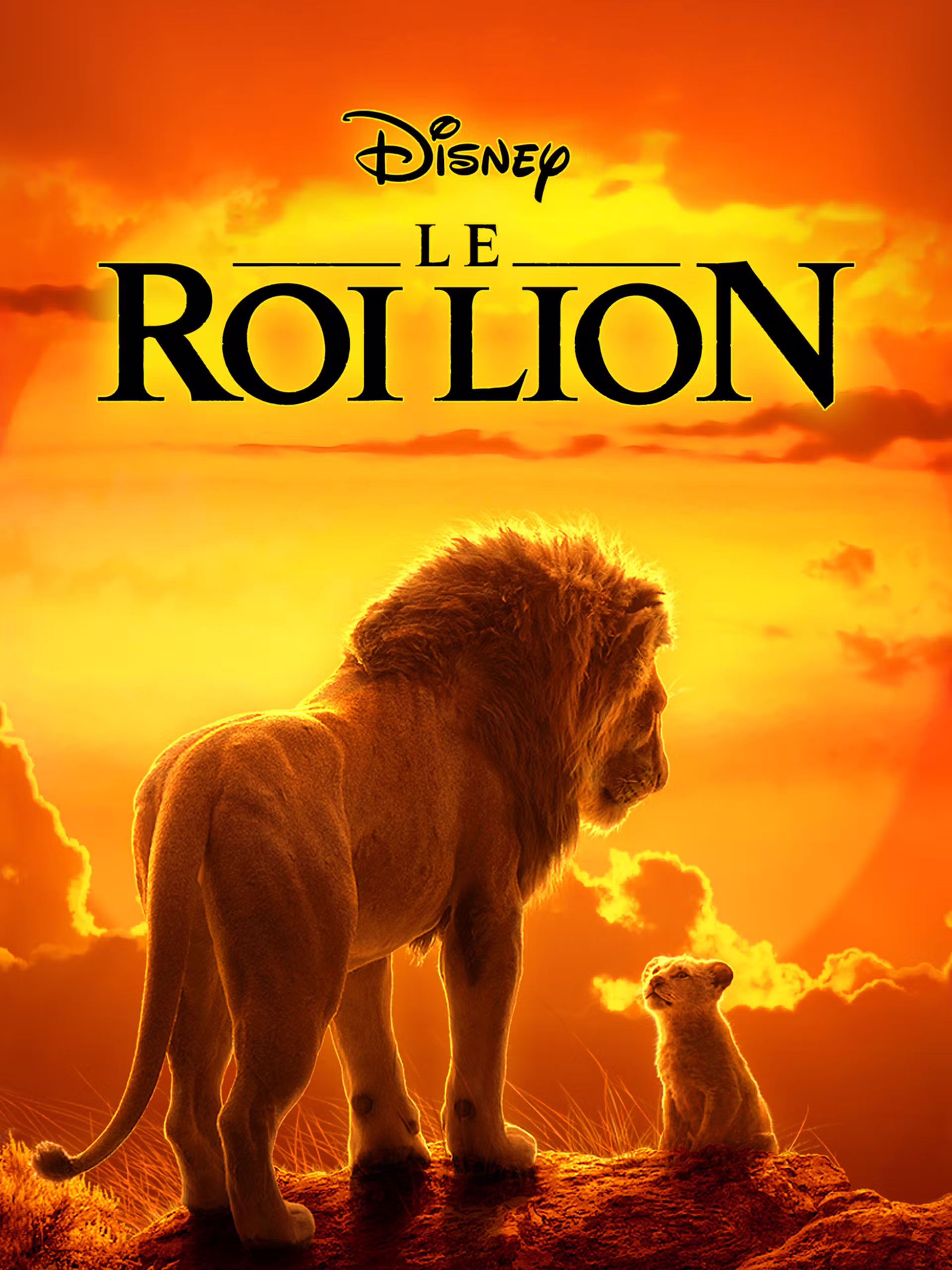 Affiche de Le Roi Lion